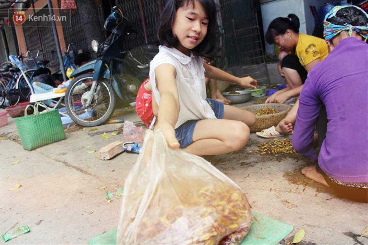 Dân Hà Nội vặt cánh châu chấu mùa World Cup: Thiếu hàng 'xuất khẩu' về các quán nhậu! Ảnh 4