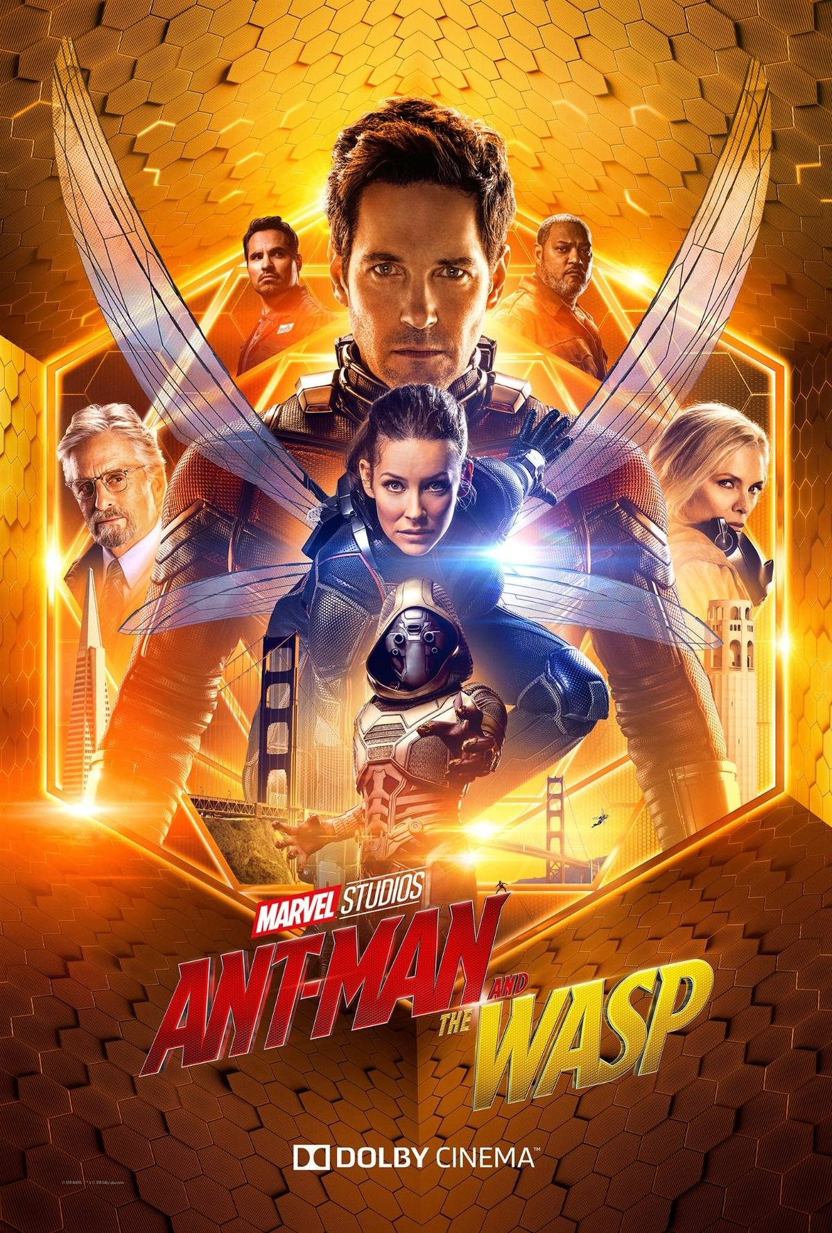 Review nhanh ‘Ant-Man and The Wasp’: Hài hước, gây cấn, xoa dịu nỗi đau từ 'Infinity War' Ảnh 5