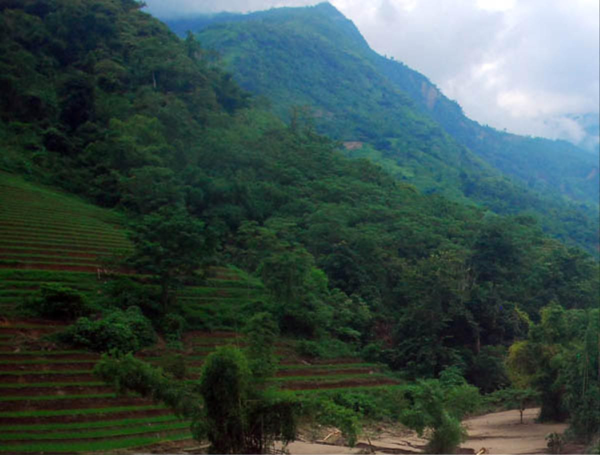 Đi chăn trâu cùng em trai, thiếu nữ trượt chân rơi xuống khe suối bị dòng lũ cuốn trôi Ảnh 1