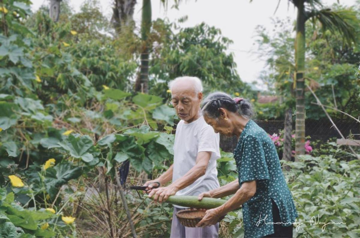 Bộ ảnh lãng mạn của ông bà U90 khiến dân mạng 'lụi tim', ganh tị vì quá tình cảm Ảnh 6