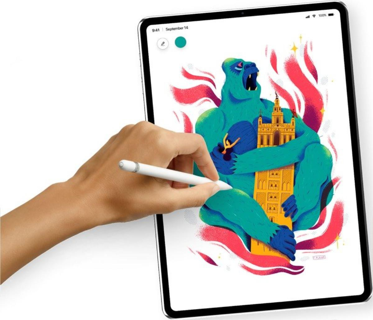 Đây là chiếc iPad Pro có thể khiến cả những người khó tính gật gù khen đẹp Ảnh 2