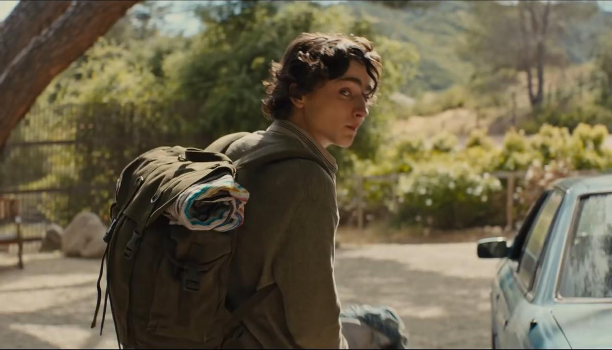 'Tiểu mỹ thụ' Timothée Chalamet của 'Call Me By Your Name' trở thành… đứa con nghiện ngập Ảnh 4