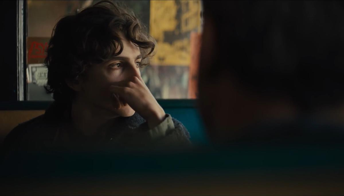 'Tiểu mỹ thụ' Timothée Chalamet của 'Call Me By Your Name' trở thành… đứa con nghiện ngập Ảnh 10