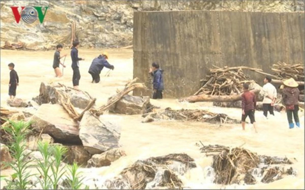 Bất chấp hiểm nguy, người dân Lai Châu vẫn đi vớt củi trong mưa lũ Ảnh 1