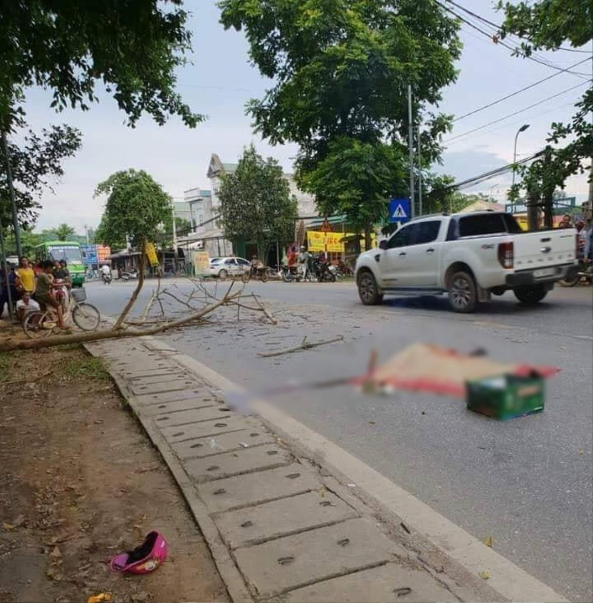 Xót xa cặp vợ chồng sắp cưới bị cành cây gãy rơi xuống đè trúng gây thương vong Ảnh 1