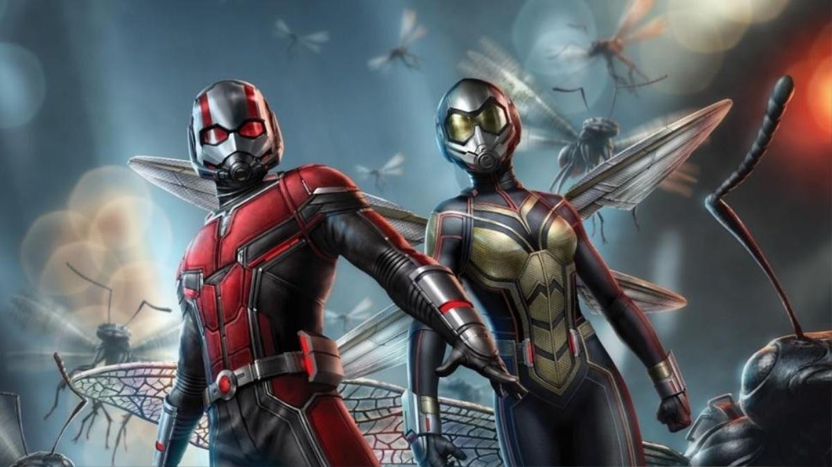 Đừng trông mong gì, 'Ant-Man and the Wasp' sẽ chẳng có một vai cameo nào trong đội Avengers xuất hiện đâu! Ảnh 2