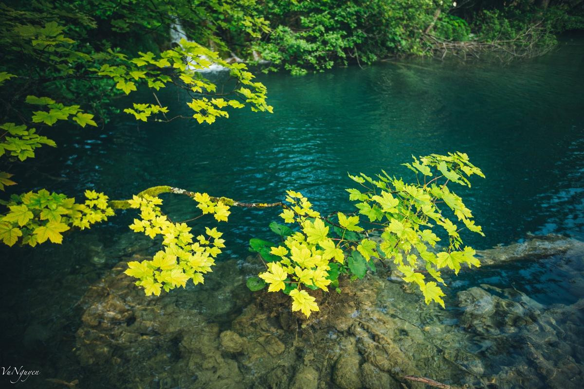 Khám phá Croatia qua ống kính của chàng trai Việt từng 'vi vu' 33 nước và vùng lãnh thổ Ảnh 7