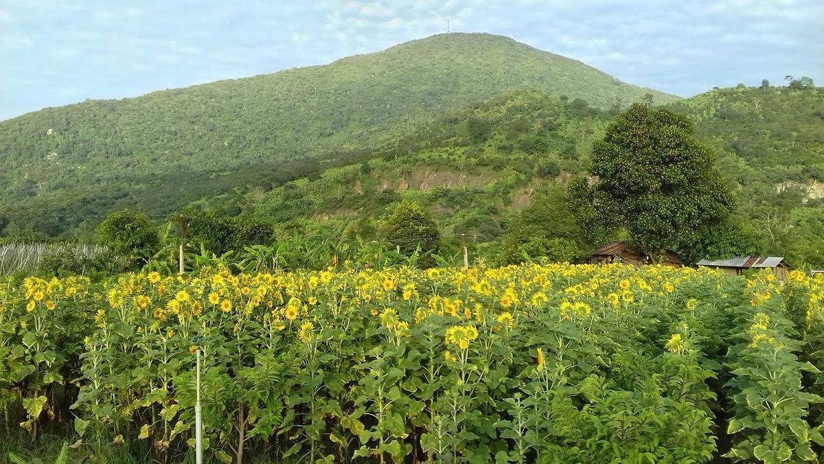 Cảnh đập nước hoành tráng ở Đak Nong khiến dân mạng liền ào ào khoe ảnh quê mình để 'cạnh tranh' Ảnh 10