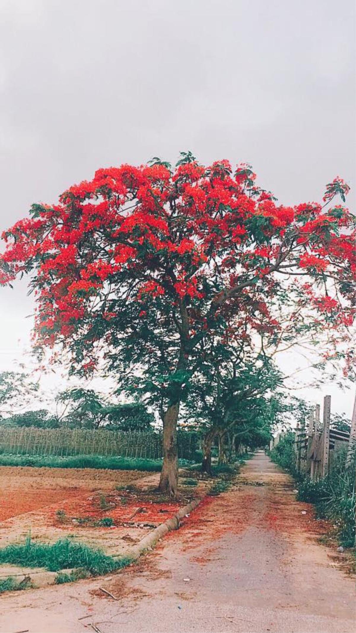 Cảnh đập nước hoành tráng ở Đak Nong khiến dân mạng liền ào ào khoe ảnh quê mình để 'cạnh tranh' Ảnh 17