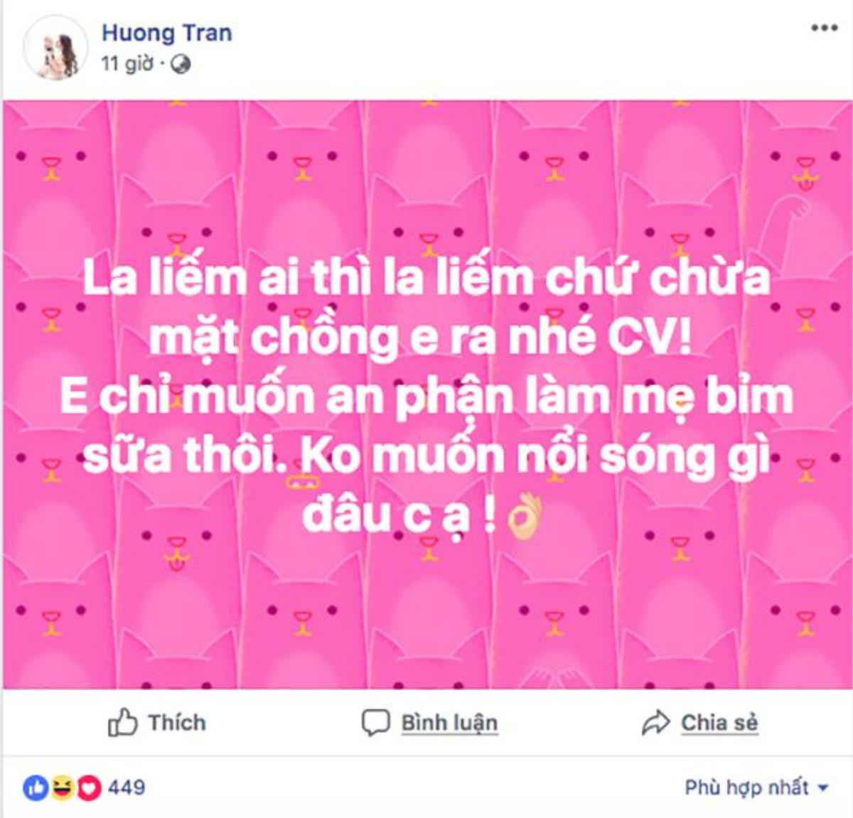 Việt Anh phân trần với vợ và trả lời rằng khán giả ‘nhầm lẫn’ tin đồn tình ái giữa anh với Quế Vân Ảnh 3