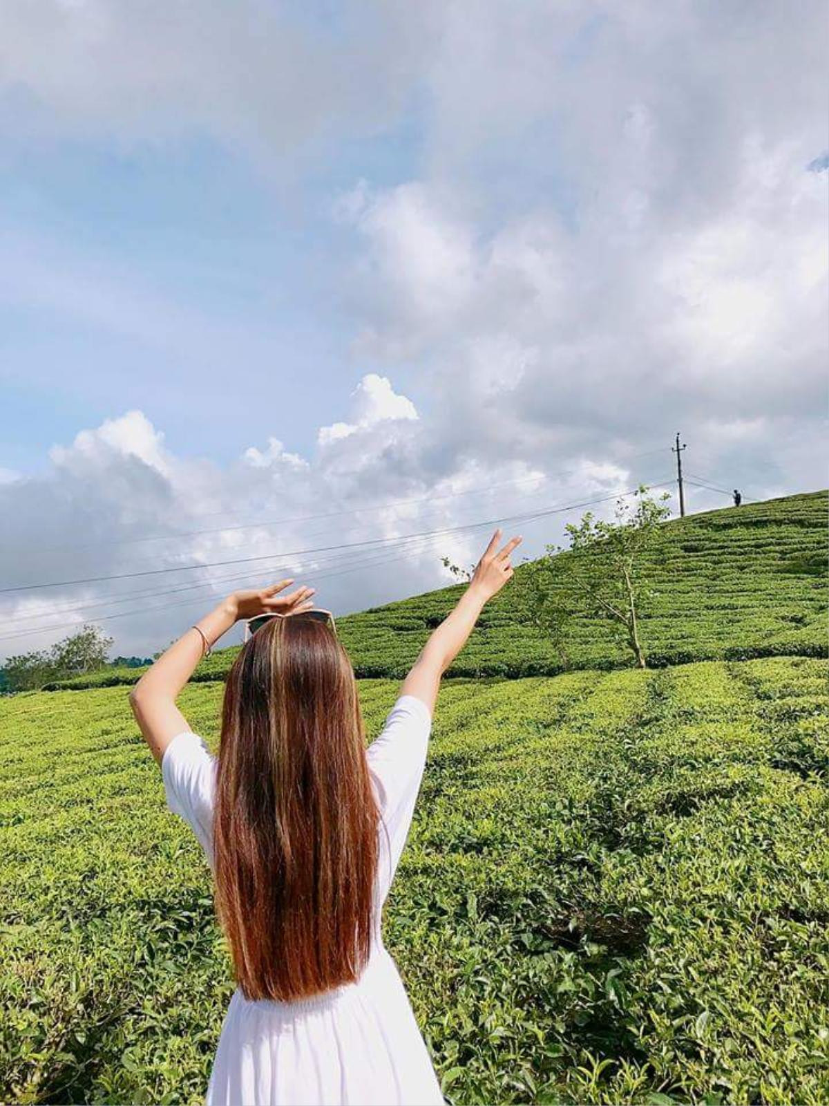 'Bỗng dưng đi châu Âu' khi lạc bước vào cánh đồng tuyệt đẹp ở Đà Lạt này Ảnh 11