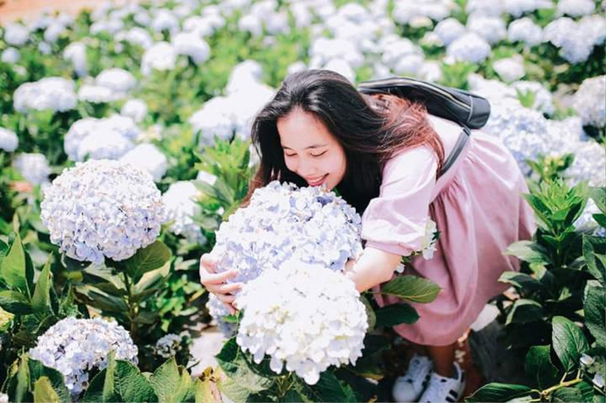 'Bỗng dưng đi châu Âu' khi lạc bước vào cánh đồng tuyệt đẹp ở Đà Lạt này Ảnh 7