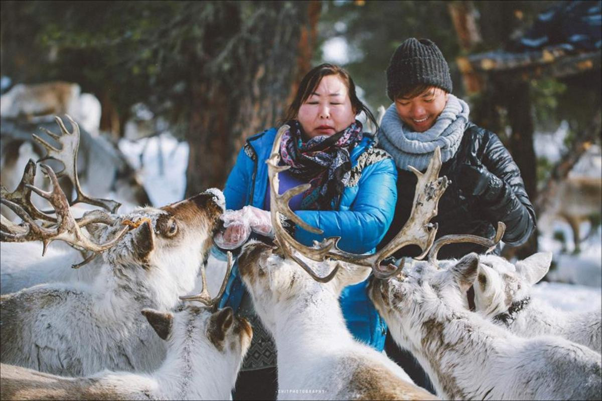 Ngỡ như chỉ có trên phim, ngờ đâu Tuần lộc lại xuất hiện đầy sống động thế này trong bộ ảnh của nhiếp ảnh gia Sài Gòn Ảnh 10