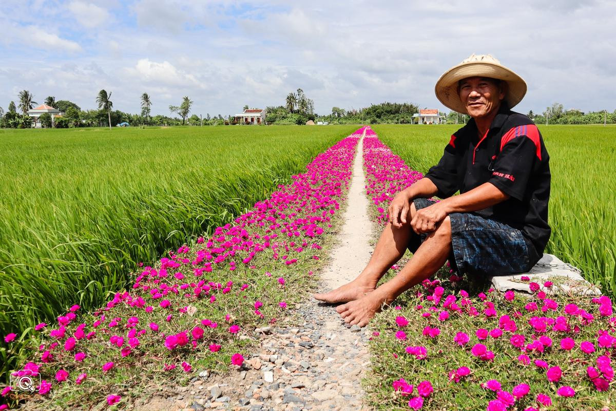 Đây chính là 'chủ nhân' của con đường hoa mười giờ nổi tiếng Gò Công Ảnh 3