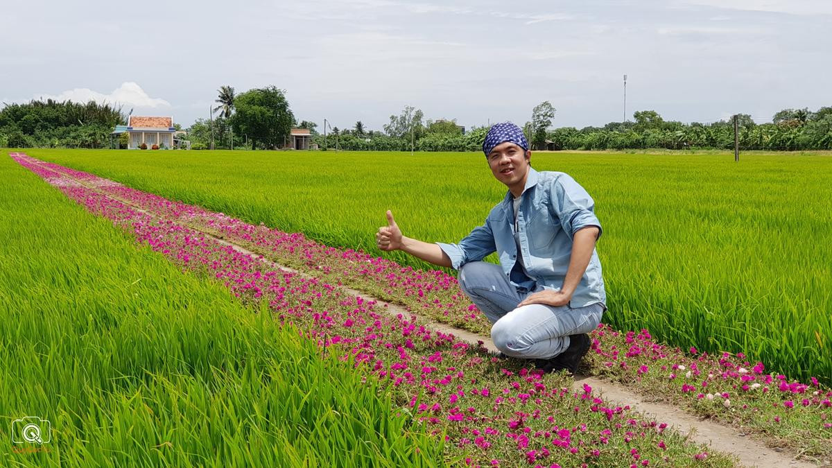 Đây chính là 'chủ nhân' của con đường hoa mười giờ nổi tiếng Gò Công Ảnh 5