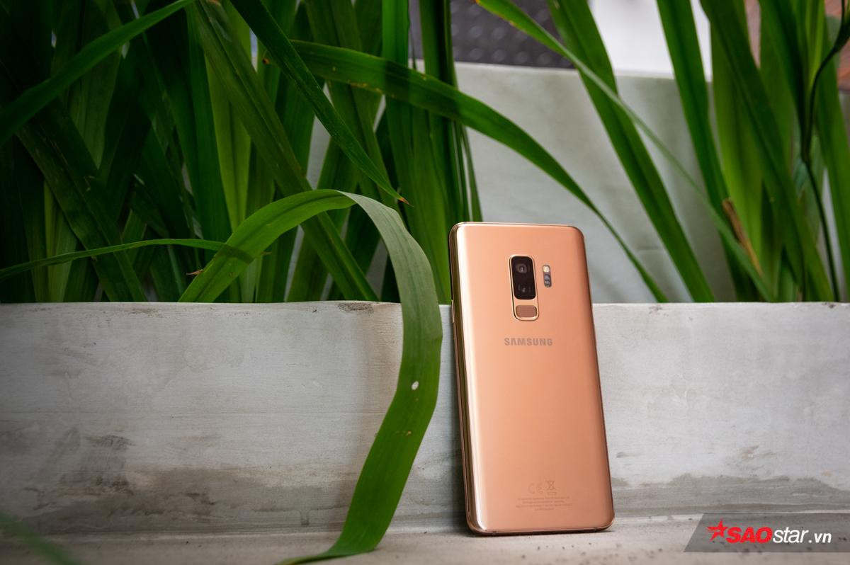 Đánh giá Galaxy S9+ sau 6 tháng sử dụng: Đường dài mới biết ngựa hay! Ảnh 16