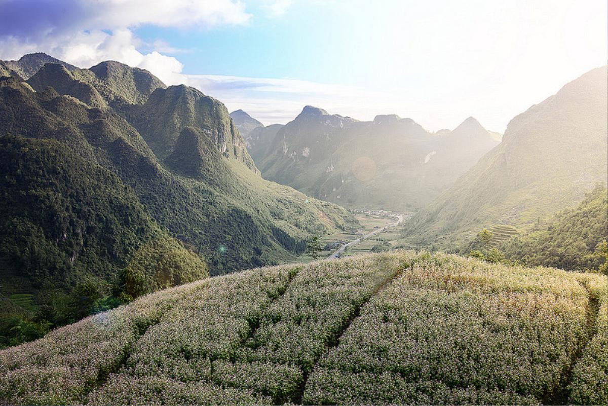 Ngắm vẻ đẹp của Hà Giang - vùng đất địa đầu Tổ quốc được dân xê dịch yêu thích Ảnh 16