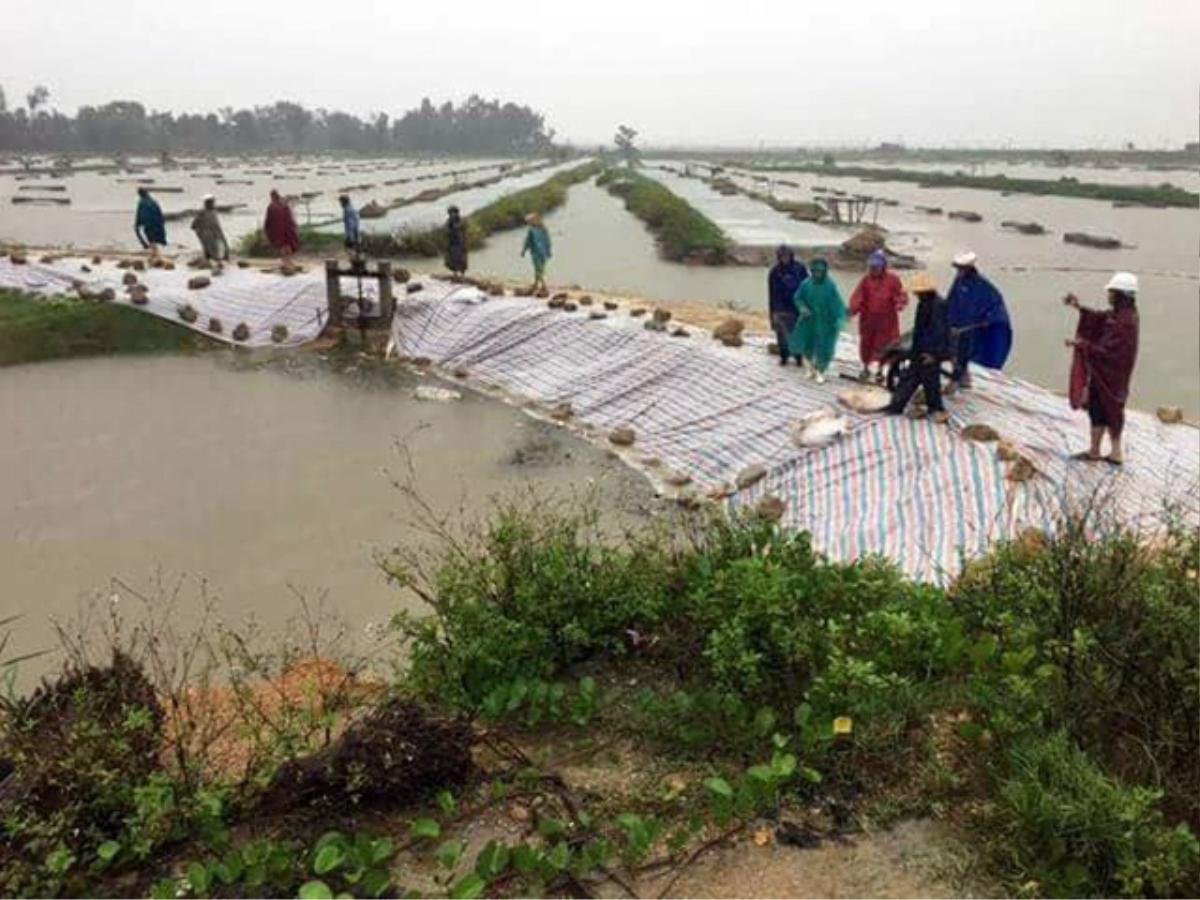 Lo ngại bão Sơn Tinh càn quét - Khẩn trương di dời hàng nghìn hộ dân ven biển Nghệ An, Hà Tĩnh Ảnh 1