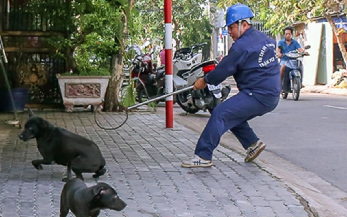 Sau chiến dịch trả lại vỉa hè cho người đi bộ, ông Đoàn Ngọc Hải 'mạnh tay' xử lý tình trạng chó thả rông ở Sài Gòn Ảnh 1