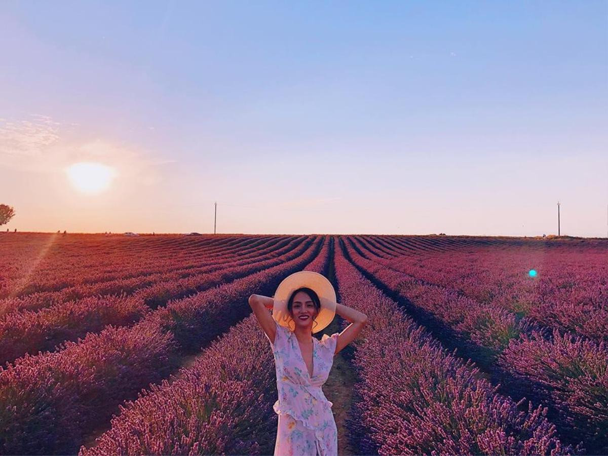 Hương Giang đẹp tựa nữ thần khi đứng giữa thiên đường hoa Lavender nổi danh nước Pháp! Ảnh 4