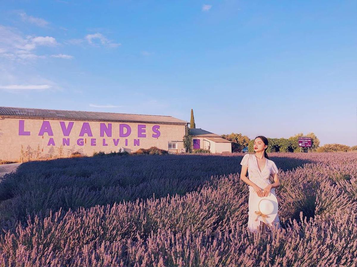 Hương Giang đẹp tựa nữ thần khi đứng giữa thiên đường hoa Lavender nổi danh nước Pháp! Ảnh 6