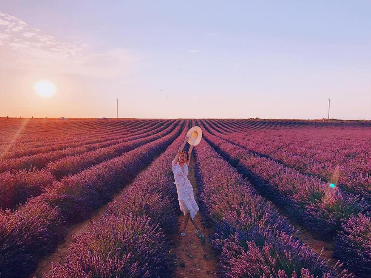 Hương Giang đẹp tựa nữ thần khi đứng giữa thiên đường hoa Lavender nổi danh nước Pháp! Ảnh 7