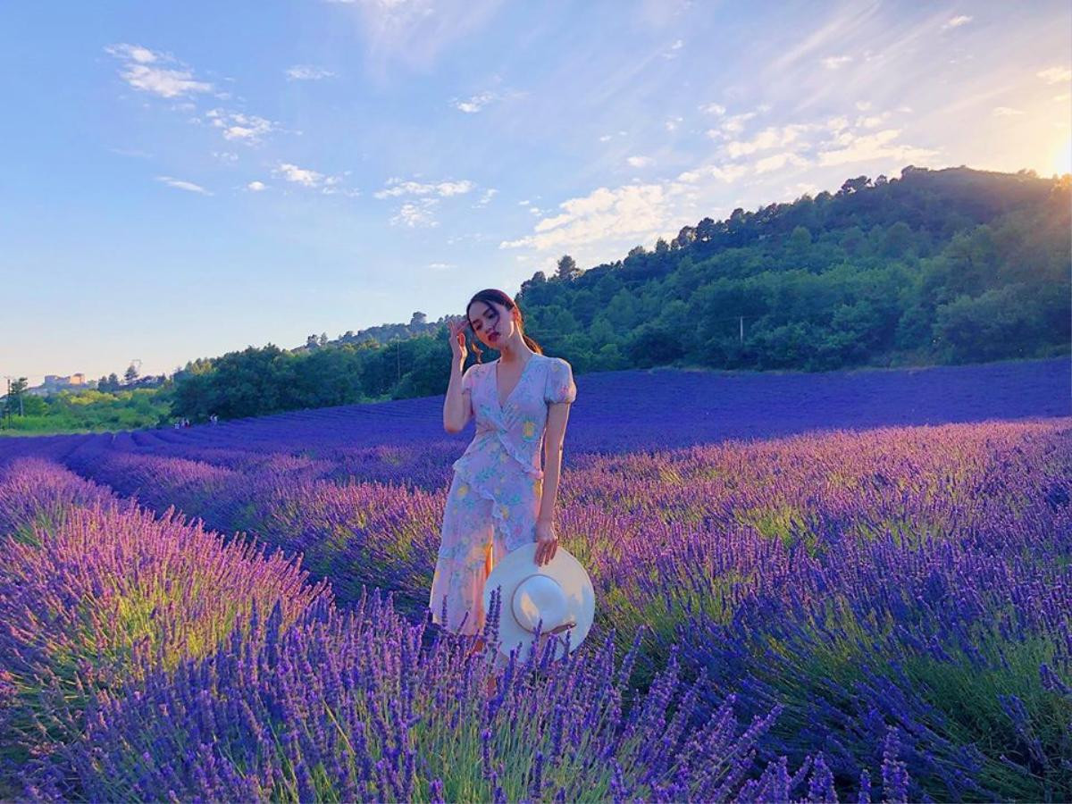 Hương Giang đẹp tựa nữ thần khi đứng giữa thiên đường hoa Lavender nổi danh nước Pháp! Ảnh 8