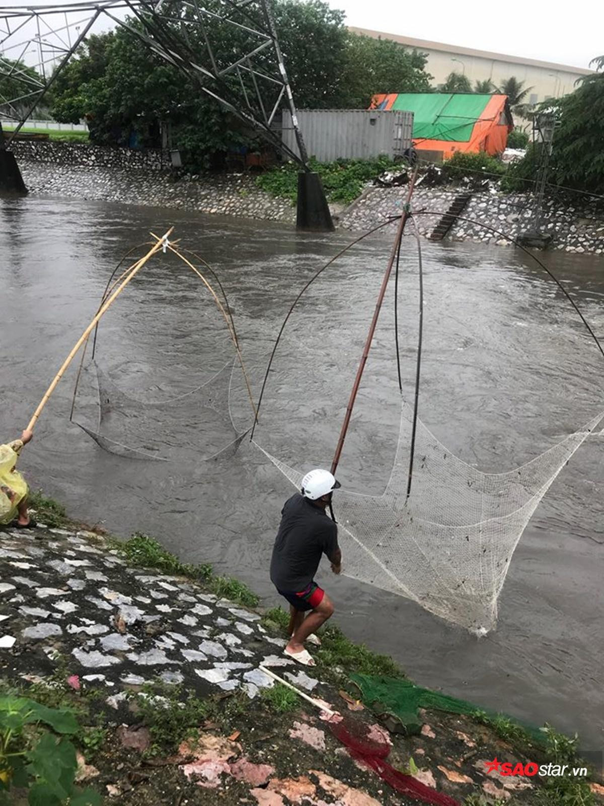 Mưa lớn đường ngập sâu, người Hà Nội tranh thủ đem lưới đi bắt cá Ảnh 16