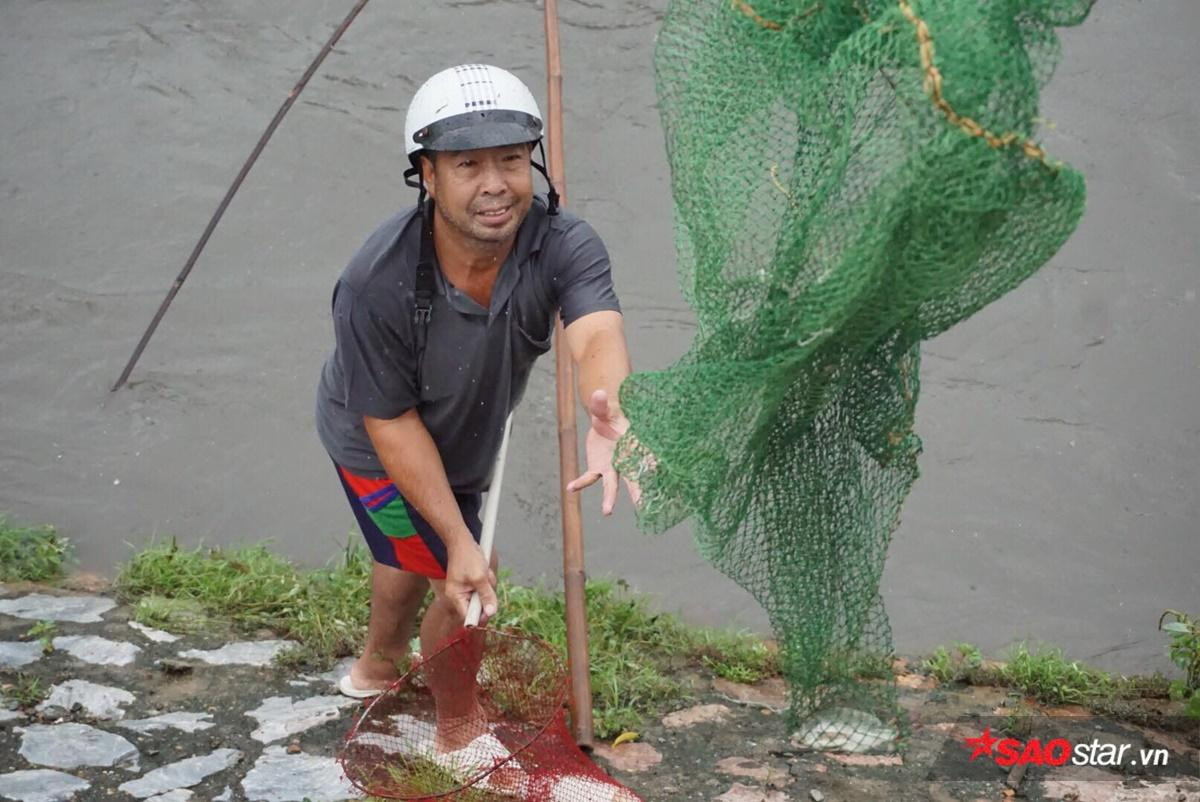 Mưa lớn đường ngập sâu, người Hà Nội tranh thủ đem lưới đi bắt cá Ảnh 7