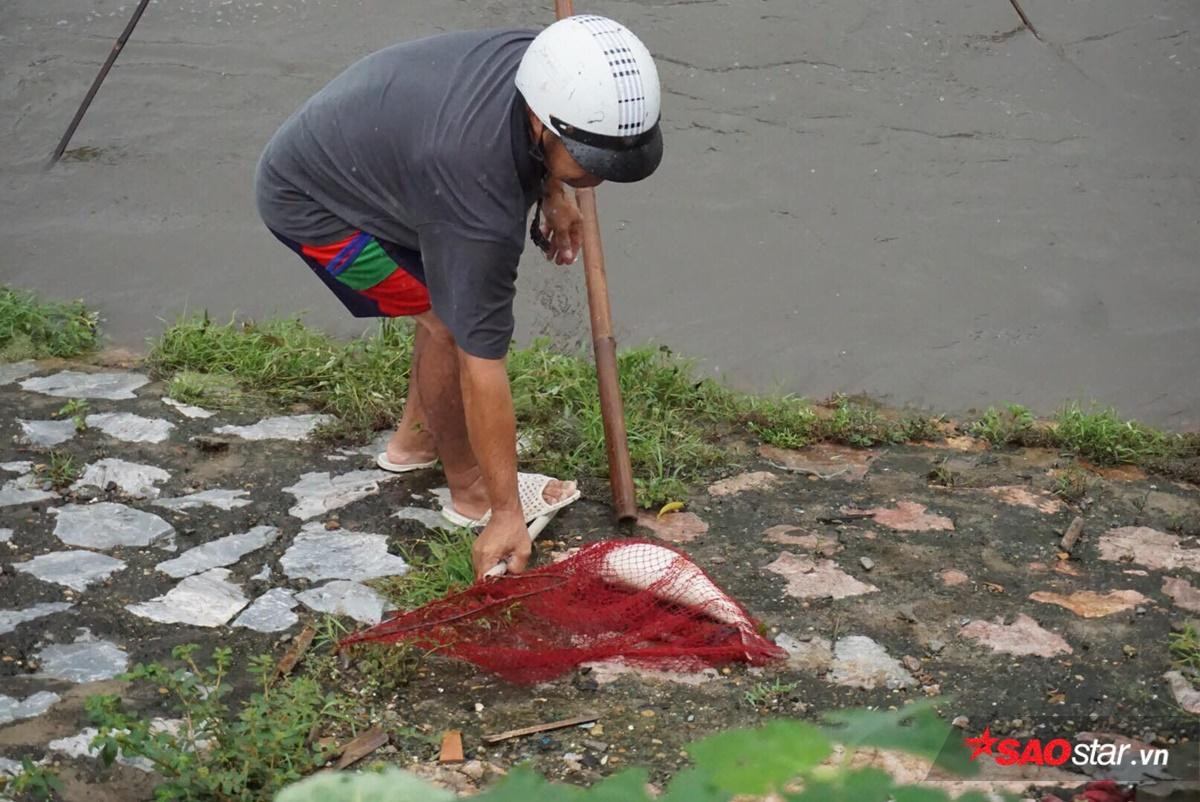 Mưa lớn đường ngập sâu, người Hà Nội tranh thủ đem lưới đi bắt cá Ảnh 5