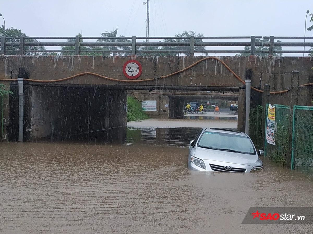 Mưa lớn đường ngập sâu, người Hà Nội tranh thủ đem lưới đi bắt cá Ảnh 1