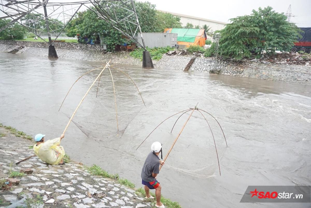 Mưa lớn đường ngập sâu, người Hà Nội tranh thủ đem lưới đi bắt cá Ảnh 3