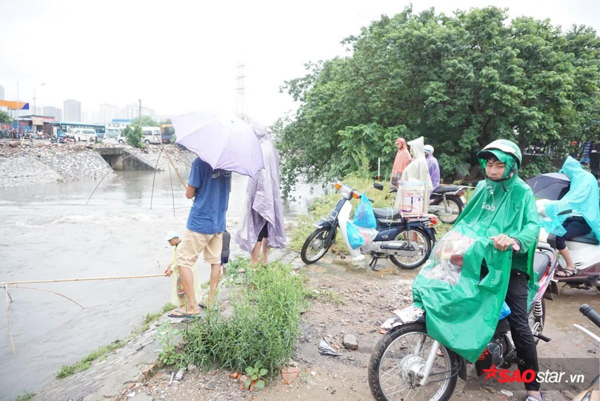 Mưa lớn đường ngập sâu, người Hà Nội tranh thủ đem lưới đi bắt cá Ảnh 13