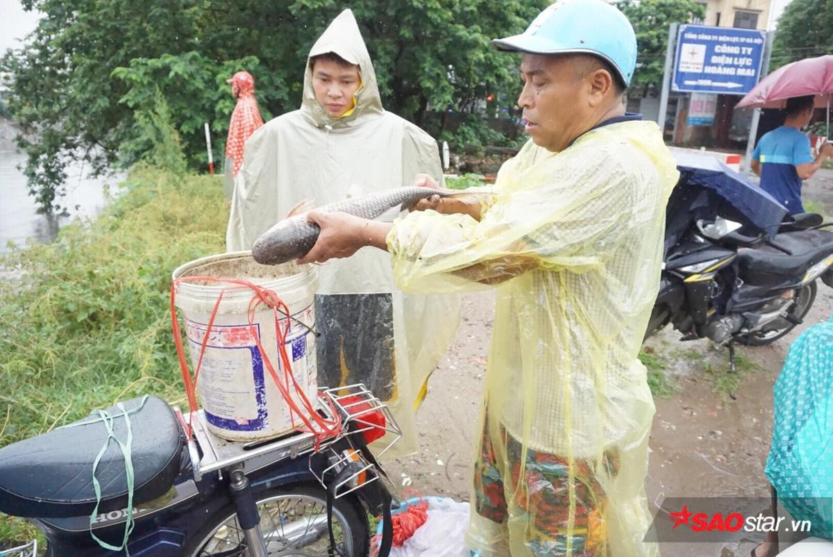 Mưa lớn đường ngập sâu, người Hà Nội tranh thủ đem lưới đi bắt cá Ảnh 4