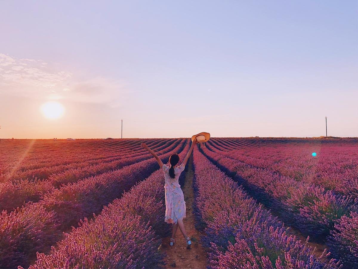 Hương Giang chưa bao giờ đẹp đến thế khi khoe dáng giữa cánh đồng lavender lãng mạn Ảnh 6