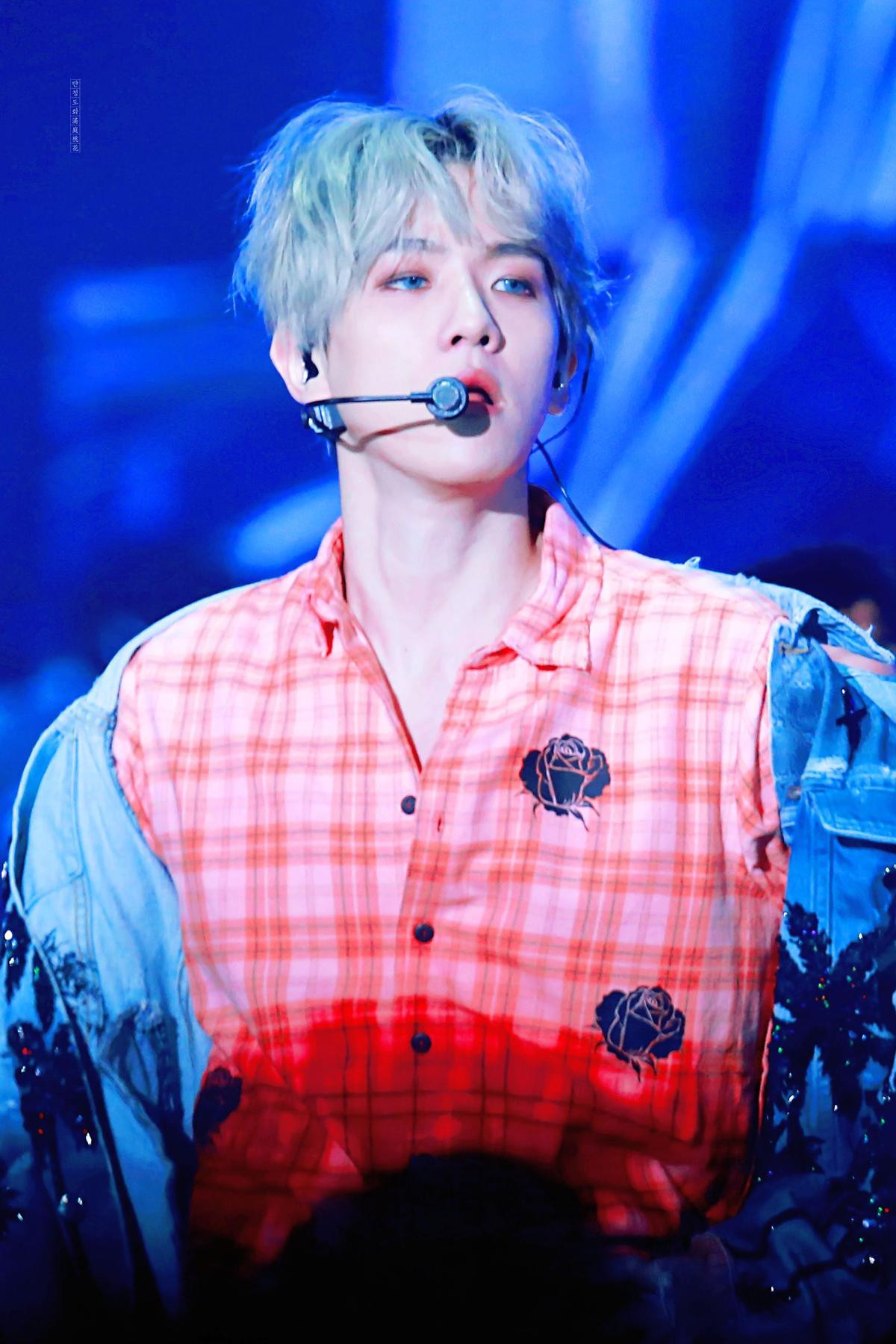 Vụ việc chỉ trích fan cuồng quấy rối qua điện thoại: Baekhyun (EXO) bị oan suốt 5 tháng qua! Ảnh 4