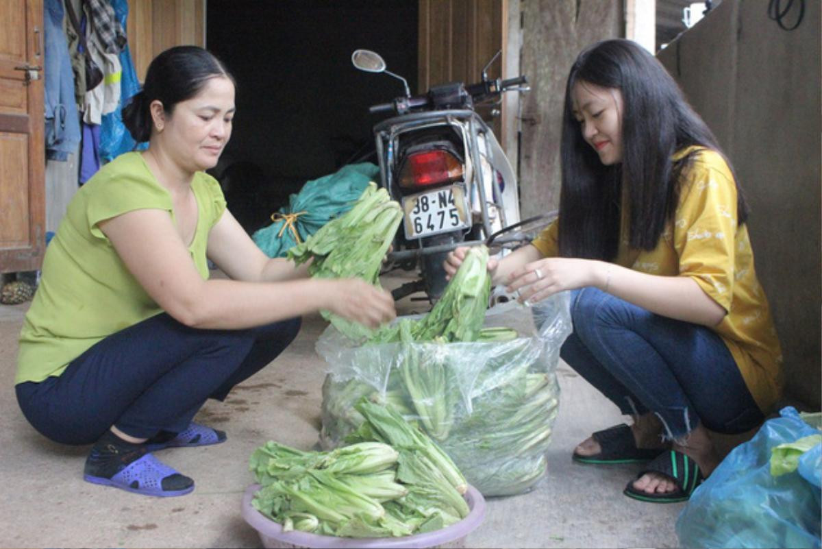 Bí quyết giành 9,5 điểm môn Văn của nữ sinh ban Tự nhiên thi… khối C Ảnh 2