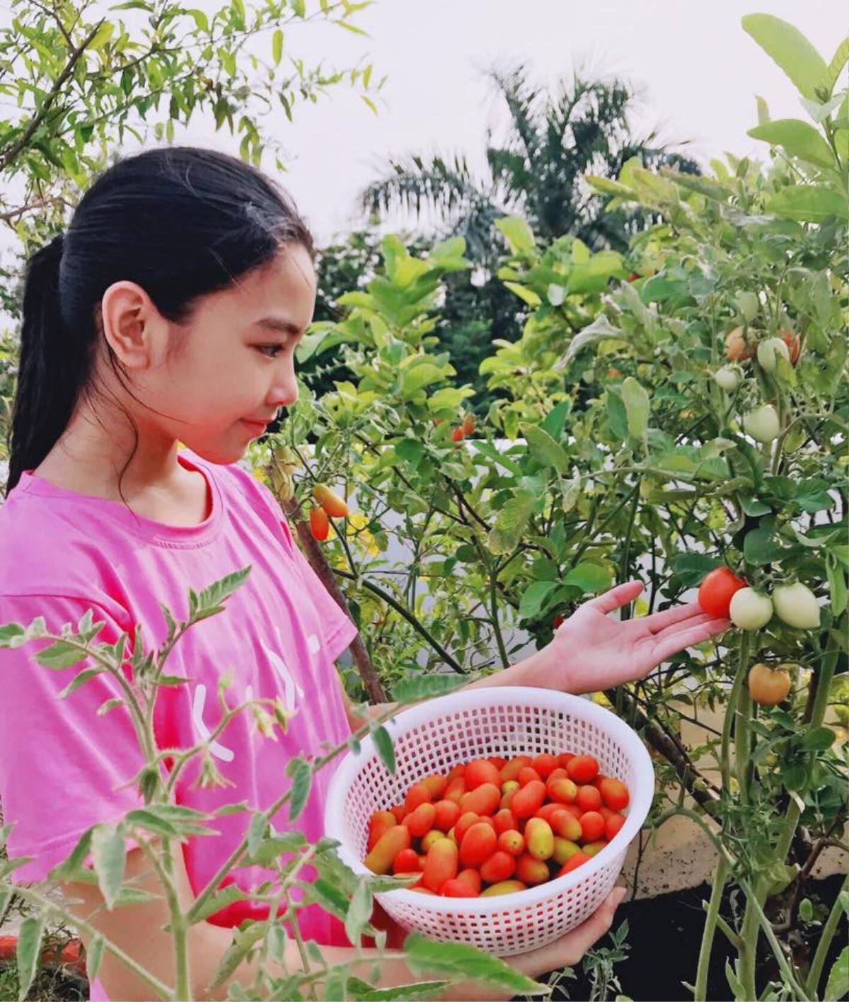 Con gái rượu của MC Quyền Linh: Càng lớn càng xinh, được dự đoán là hoa hậu tương lai Ảnh 7