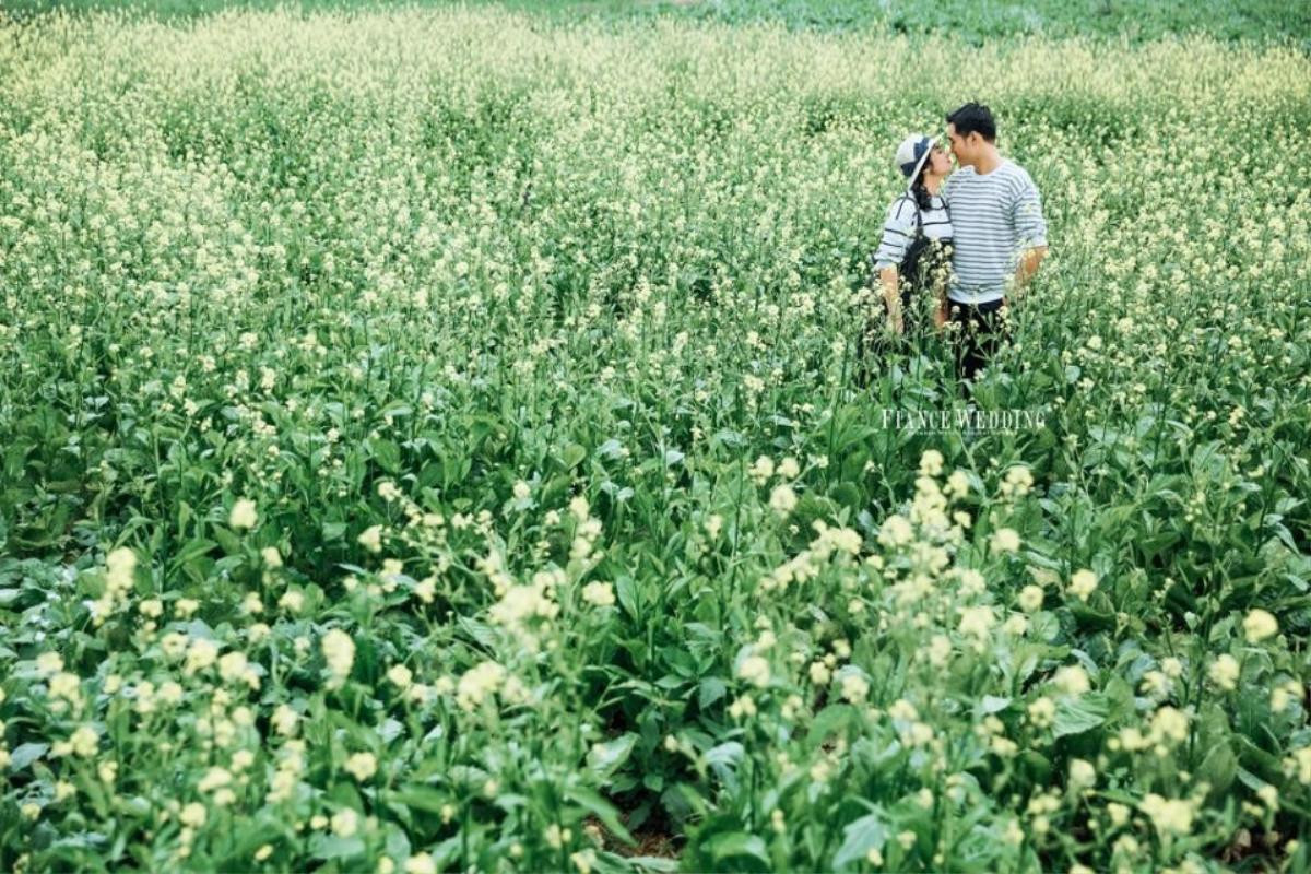 Xuất hiện vườn hoa bốn mùa 'xanh đỏ tím vàng', lãng mạn như xứ Hàn tại Đà Lạt Ảnh 3