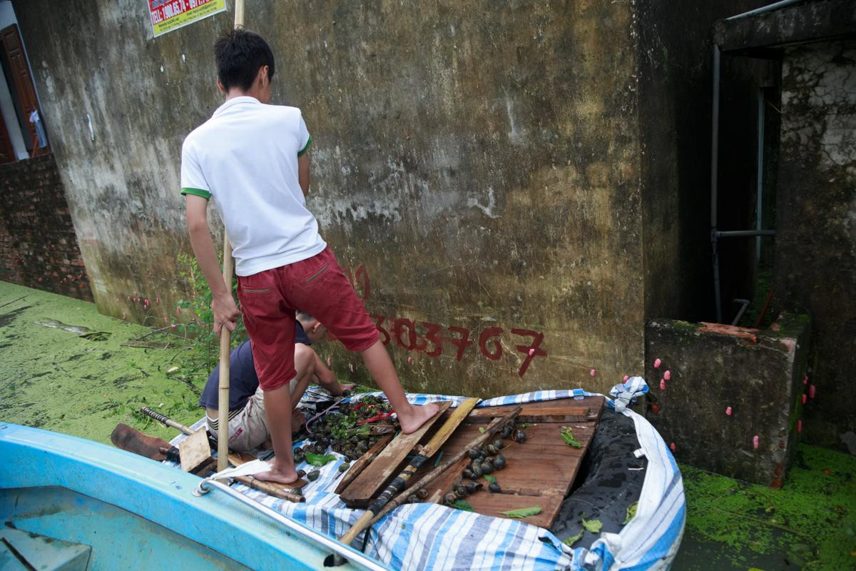 Ngoại thành Hà Nội ngập trong biển nước, người dân phải dùng thuyền để di chuyển Ảnh 12