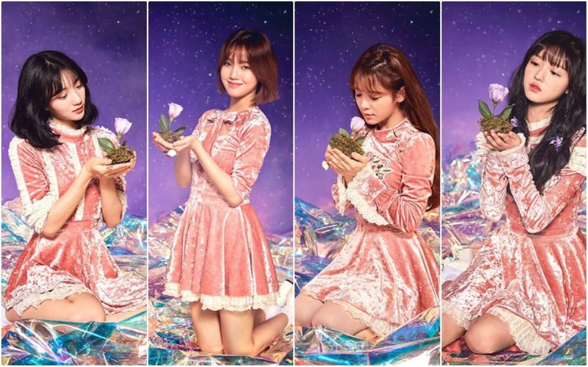 4 thành viên Oh My Girl gặp tai nạn, fan như ‘ngồi trên đống lửa’ Ảnh 1