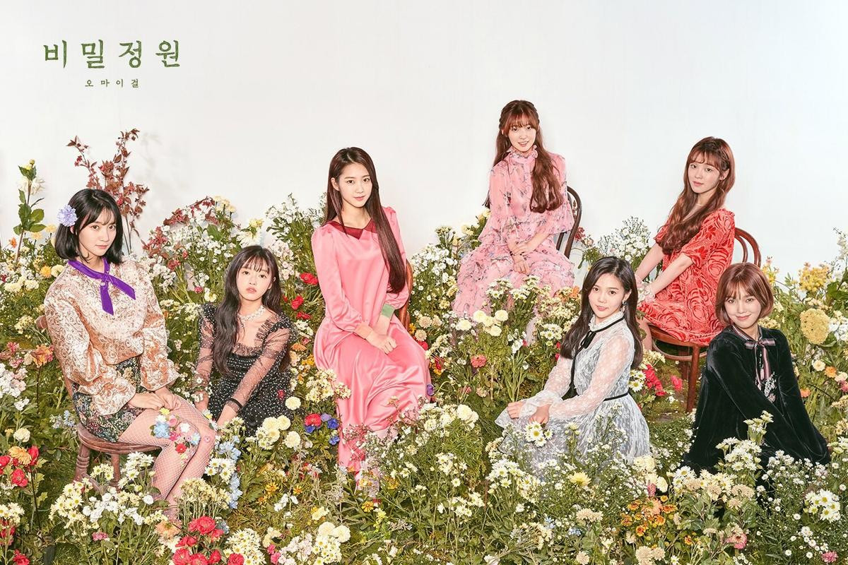 4 thành viên Oh My Girl gặp tai nạn, fan như ‘ngồi trên đống lửa’ Ảnh 3