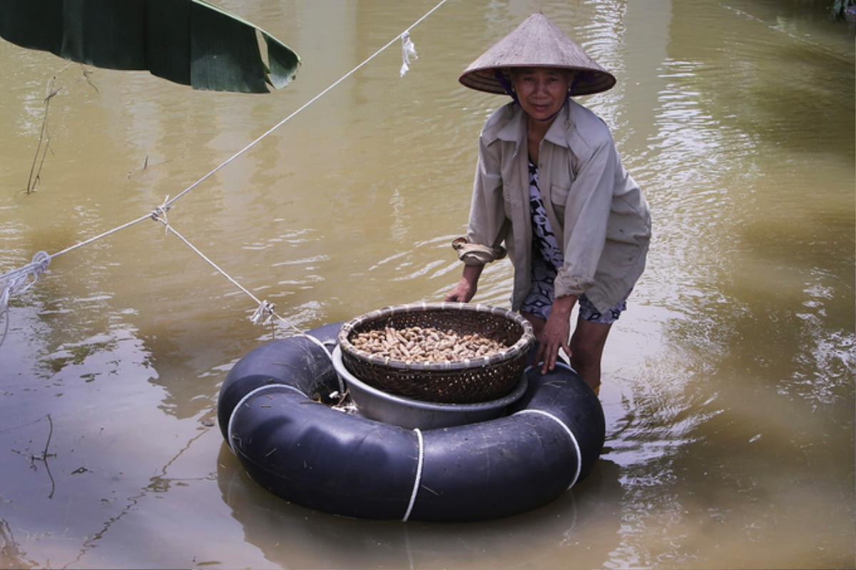 Người dân vùng ngập lụt ở Hà Nội chắt chiu nước sạch Ảnh 5