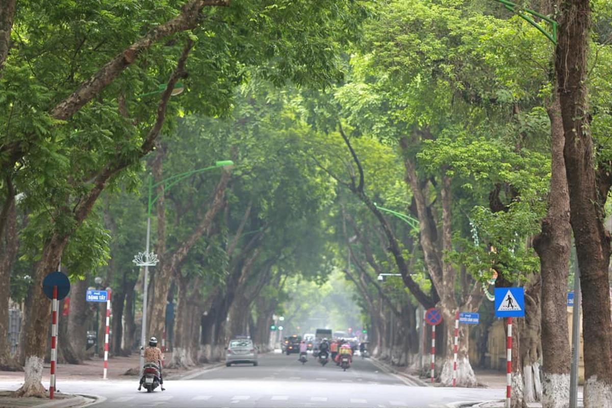 Bạn nhận ra không? Hà Nội đã bắt đầu chớm thu, lá bắt đầu nhuộm vàng khu phố rồi đấy Ảnh 2