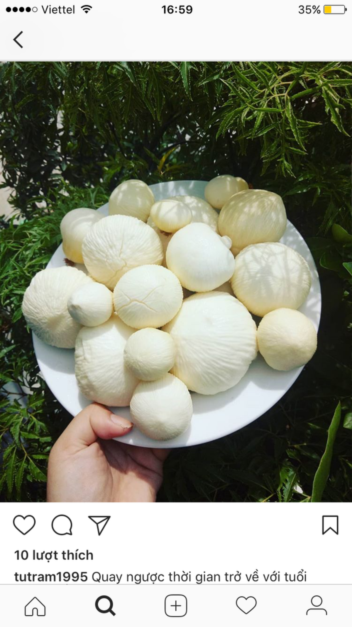 Mộng dừa là gì mà tận 300k/kg, muốn mua cũng không hề dễ? Ảnh 10