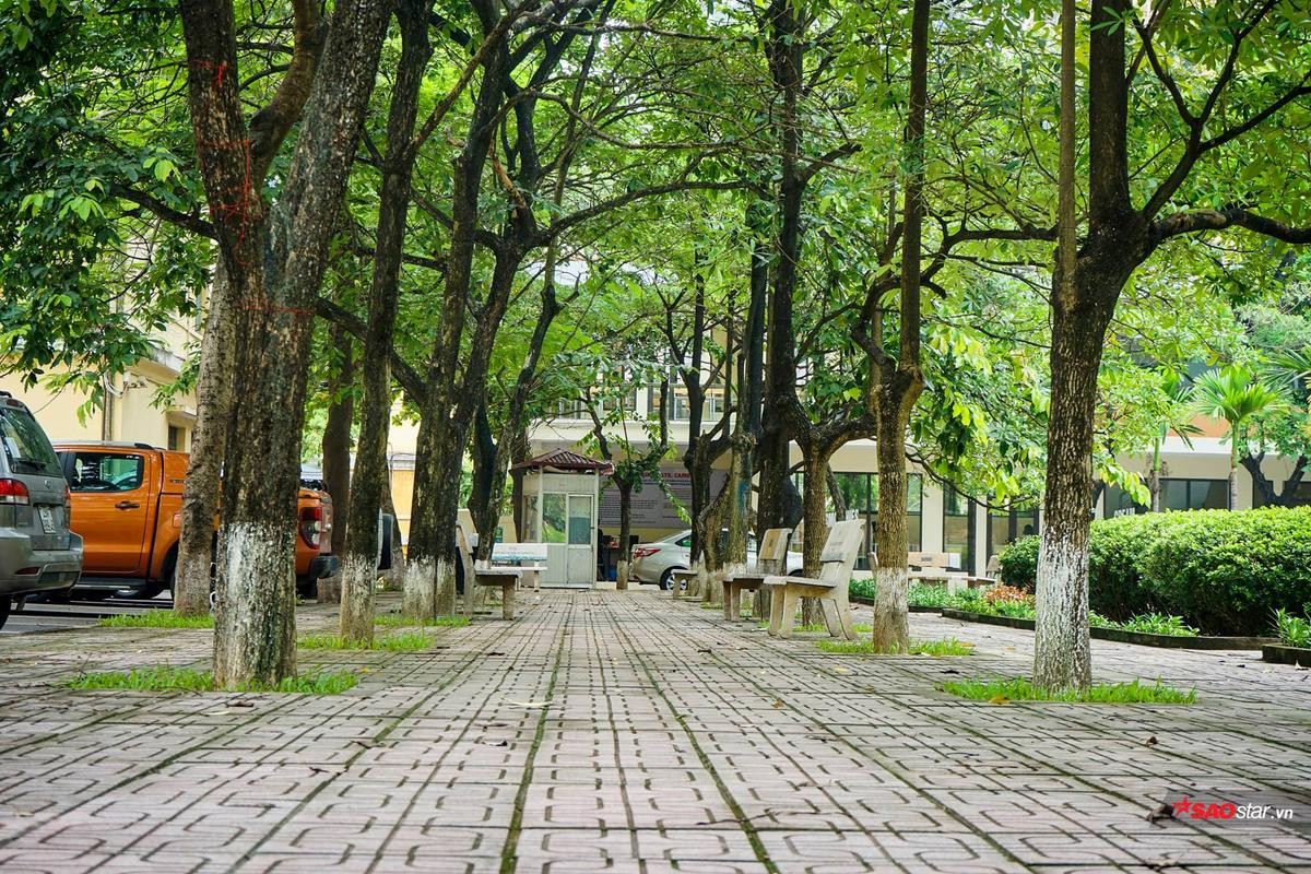 ‘Mục sở thị’ trường Đại học hơn 1 thế kỷ trên mảnh đất Thủ đô - giấc mơ của người yêu Khoa học Tự nhiên có gần hơn khi điểm chuẩn giảm? Ảnh 12