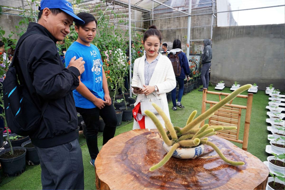 Quán cà phê cho khách ngồi trong nhà kính trồng rau ở Đà Lạt Ảnh 10