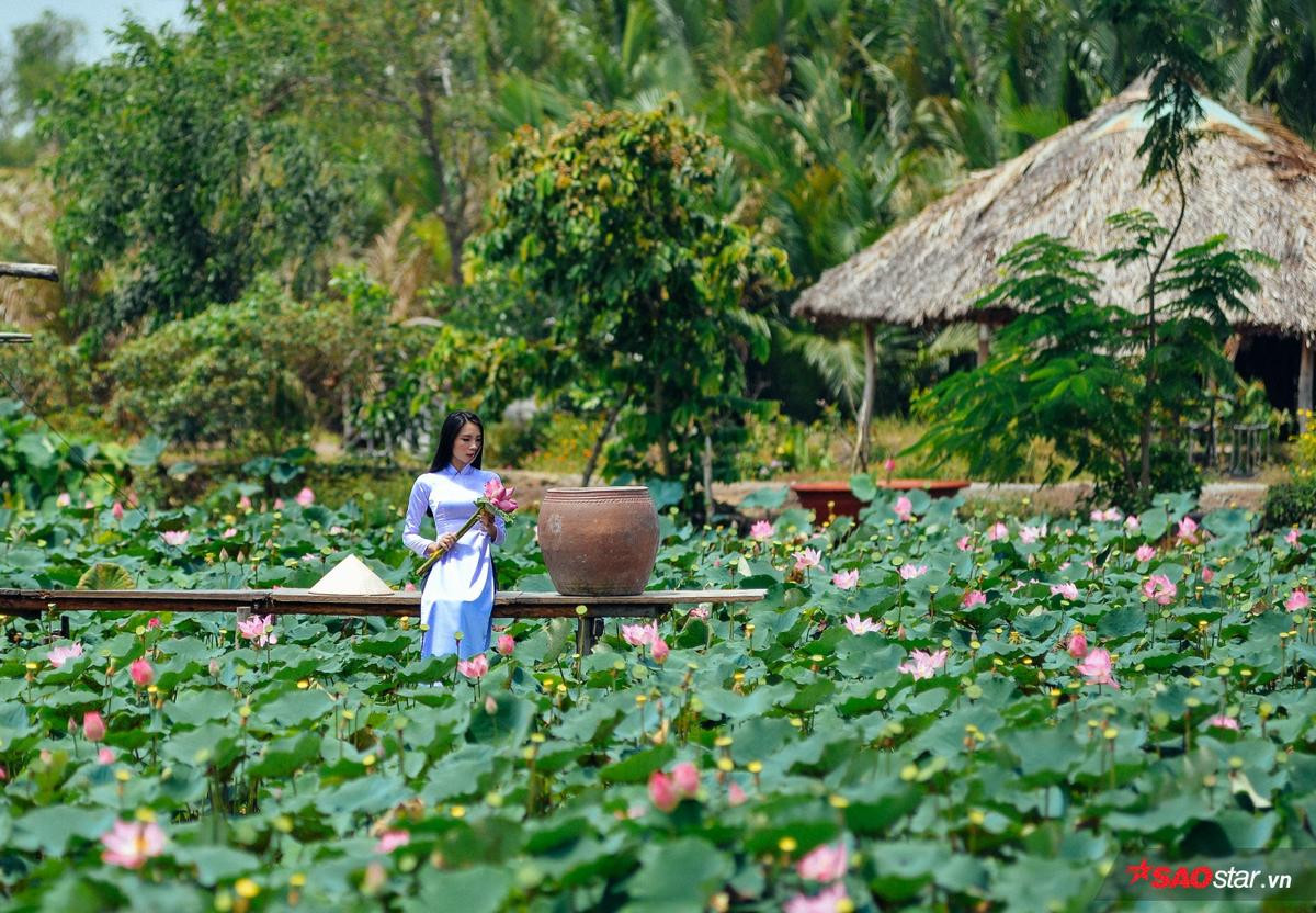 Cánh đồng sen lớn nhất Sài Gòn nở rộ, giới trẻ thi nhau đến chụp hình check-in Ảnh 15