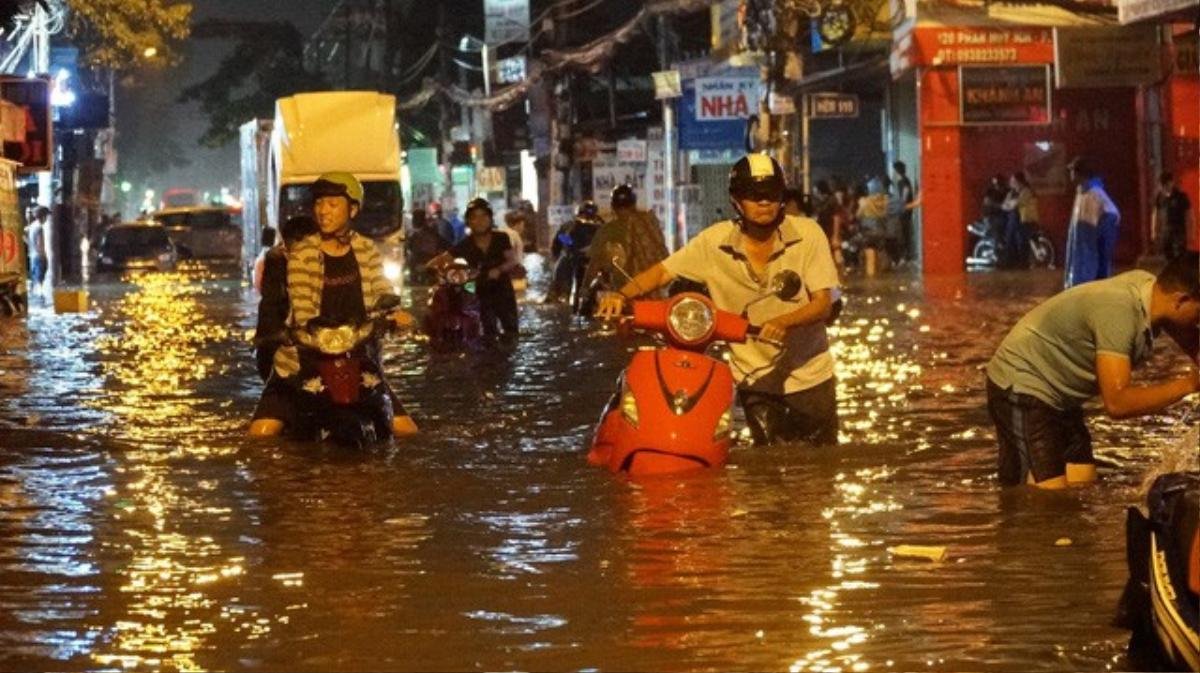 'Sự tồn tại của TPHCM đang bị đe dọa' Ảnh 1