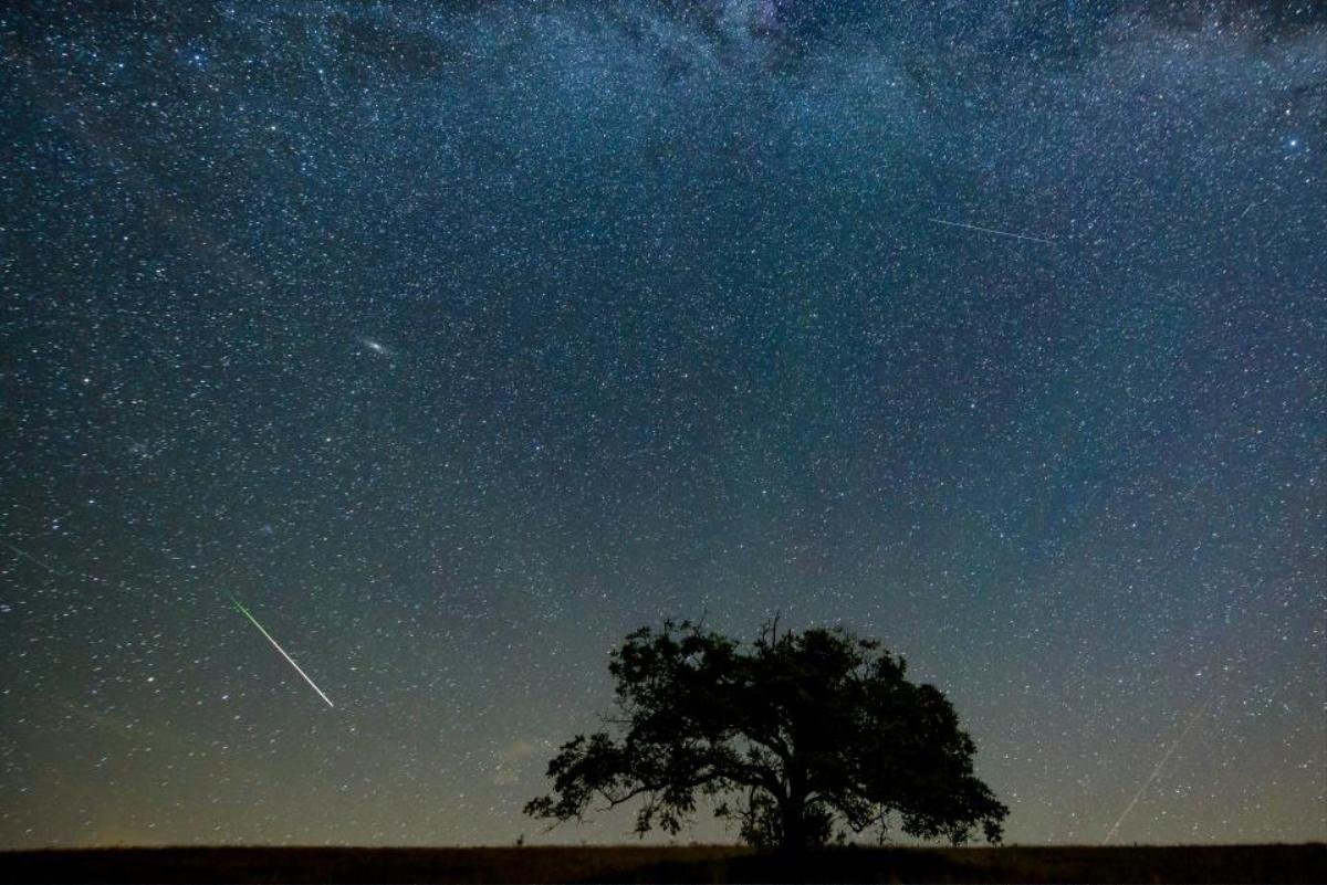 Mưa sao băng Perseid đẹp tuyệt vời trên bầu trời đêm Ảnh 5